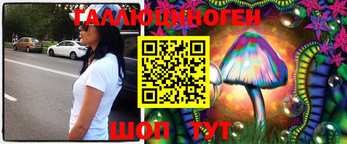 Галлюциногенные грибы прущие грибы  Темрюк 