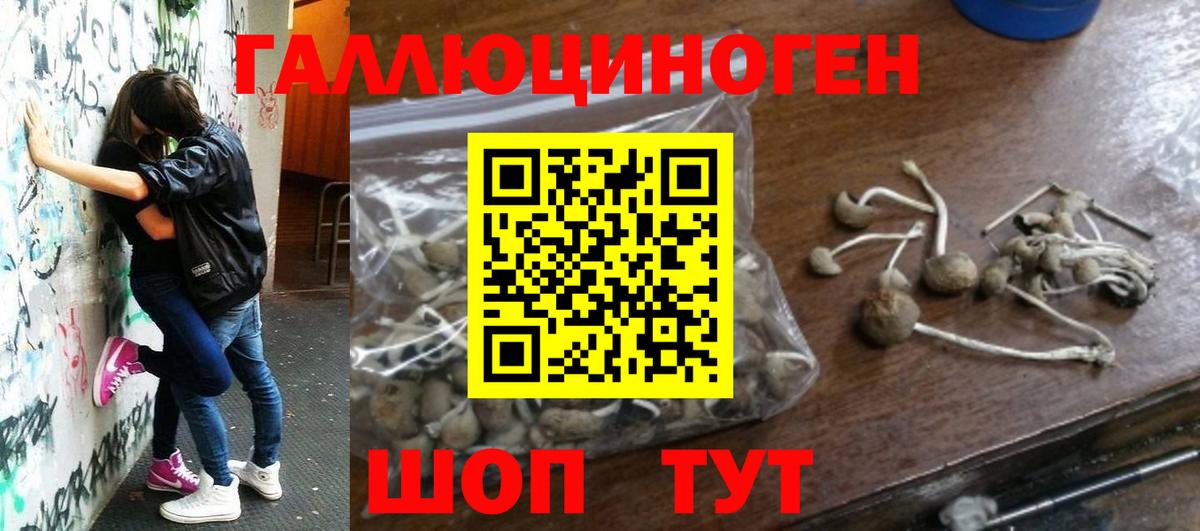 Галлюциногенные грибы GOLDEN TEACHER Темрюк