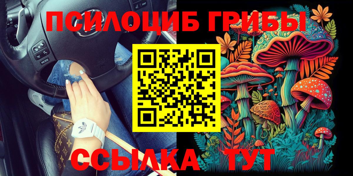 цена наркотик  Псилоцибиновые грибы мицелий  Вход с VPN  Темрюк 